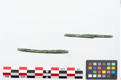 Foto von Bronzearmreif (NHMW-PRAE-025734)